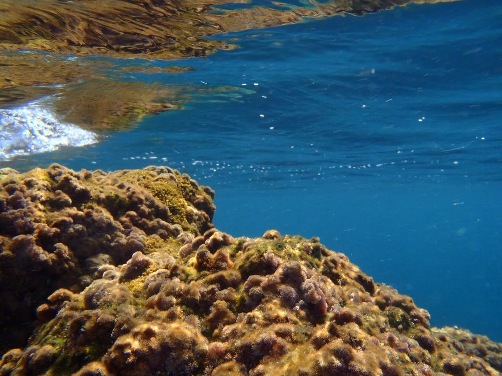 Le Casette Sul Mare Capo Vaticano Luaran gambar