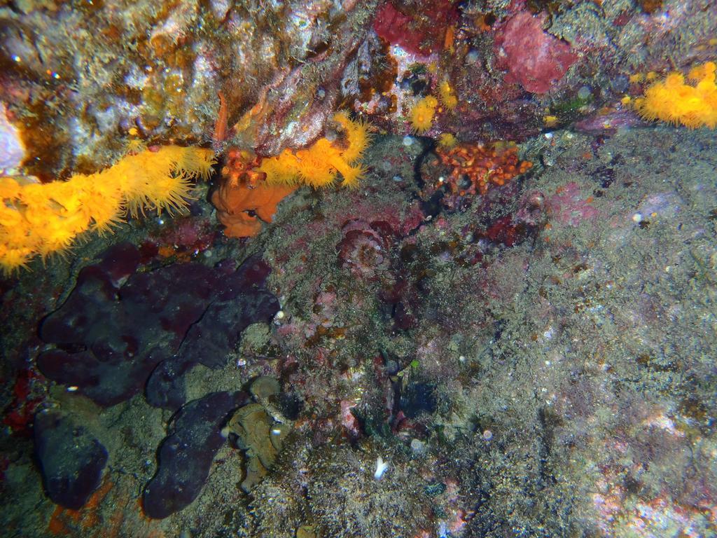 Le Casette Sul Mare Capo Vaticano Luaran gambar